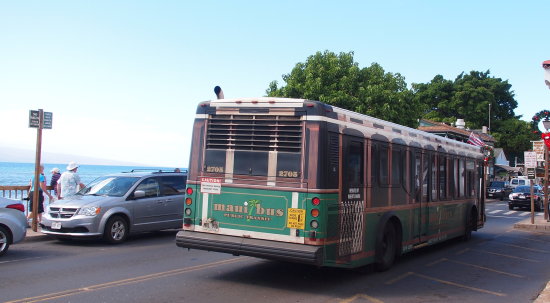 bus-1.jpg